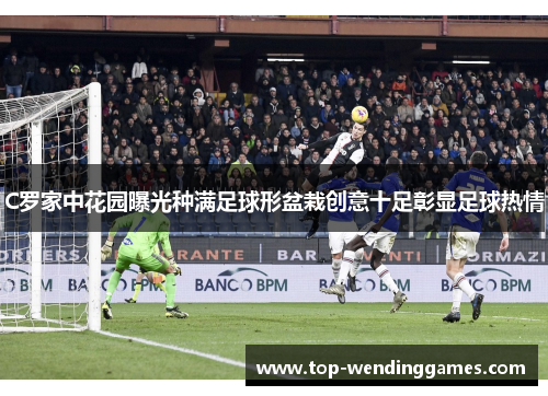 C罗家中花园曝光种满足球形盆栽创意十足彰显足球热情 C罗家中花园曝光种满足球形盆栽创意十足彰显足球热情