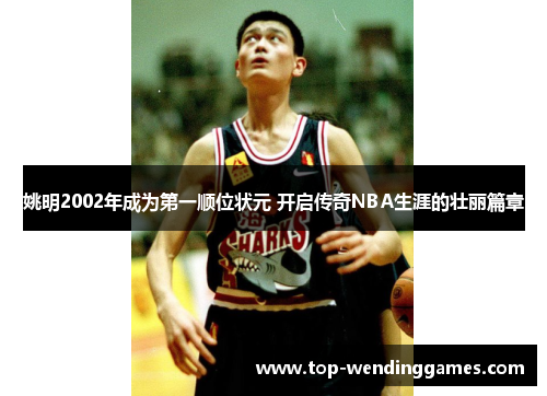 姚明2002年成为第一顺位状元 开启传奇NBA生涯的壮丽篇章 姚明2002年成为第一顺位状元 开启传奇NBA生涯的壮丽篇章