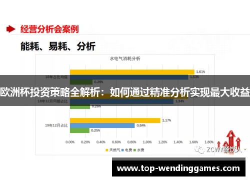 欧洲杯投资策略全解析:如何通过精准分析实现最大收益 欧洲杯投资策略全解析:如何通过精准分析实现最大收益