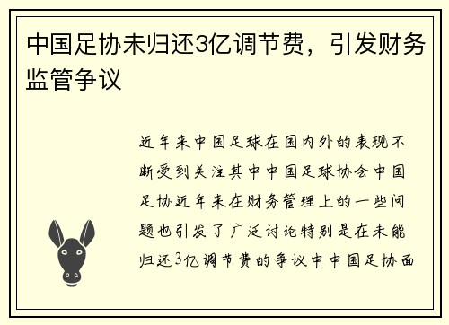 中国足协未归还3亿调节费，引发财务监管争议