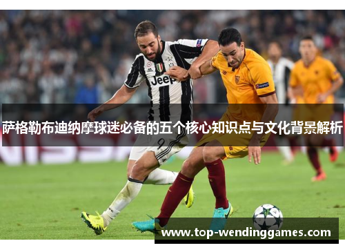 萨格勒布迪纳摩球迷必备的五个核心知识点与文化背景解析
