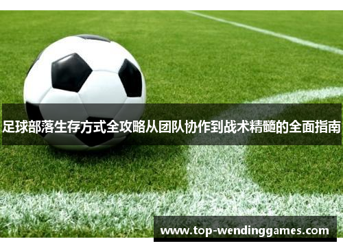 足球部落生存方式全攻略从团队协作到战术精髓的全面指南 足球部落生存方式全攻略从团队协作到战术精髓的全面指南
